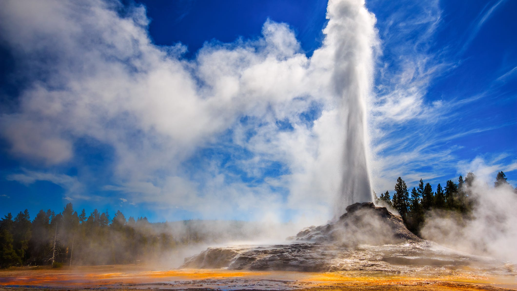 Santa Rosa man banned from Yellowstone for drunkenly assaulting police, destroying hotel