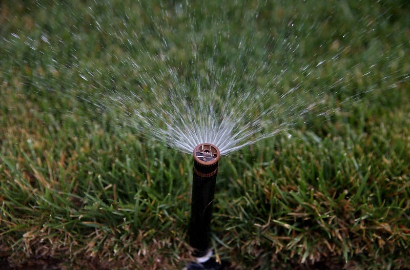 A sprinkler waters a lawn in Walnut Creek, California.