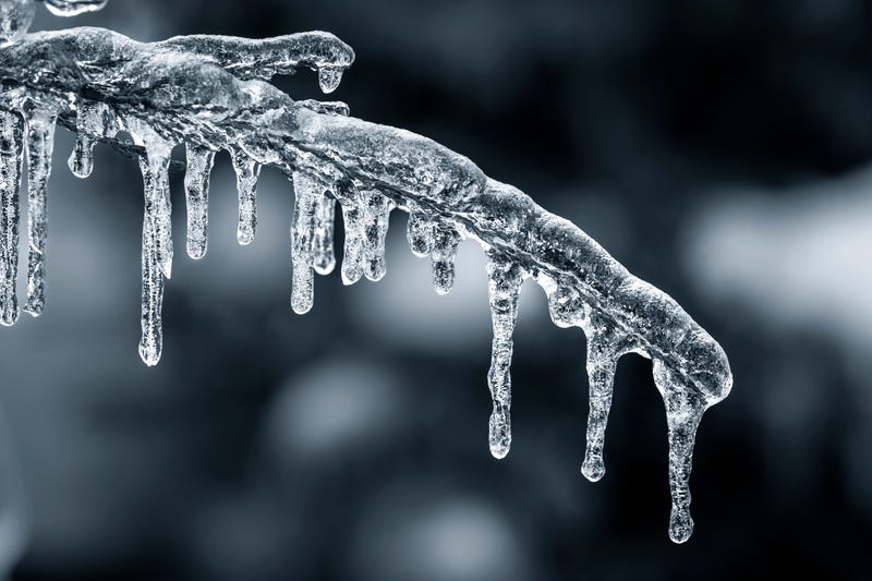icy branch