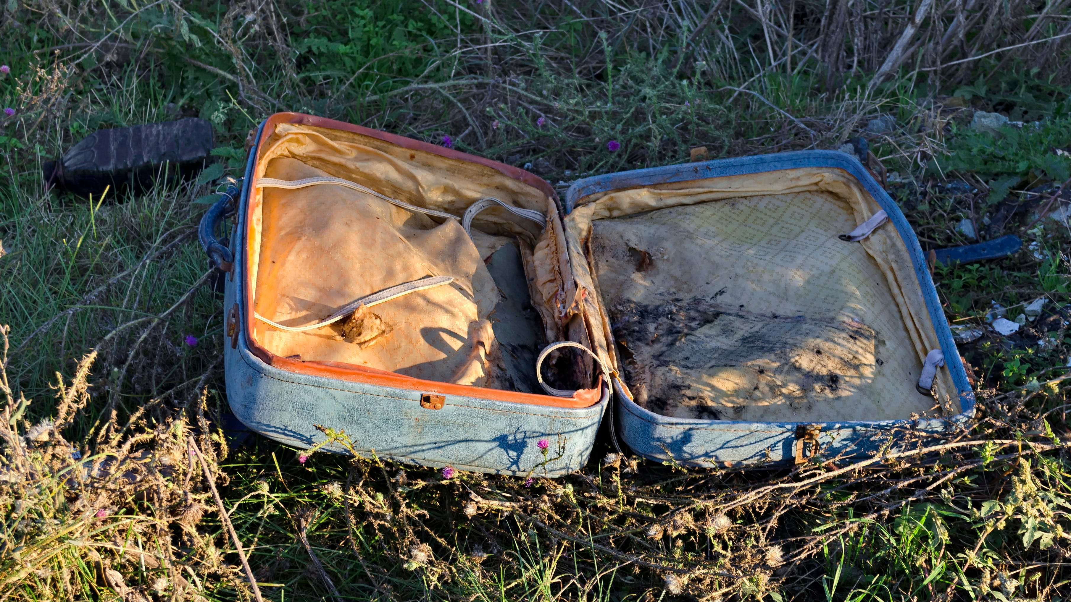 Body in a suitcase found by a couple walking their dog