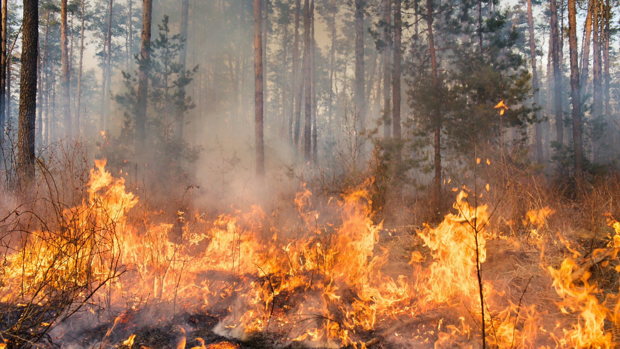 Northern Michigan firefighter admits to igniting 2 wildfires