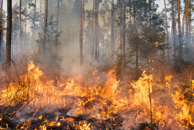 Wildfires