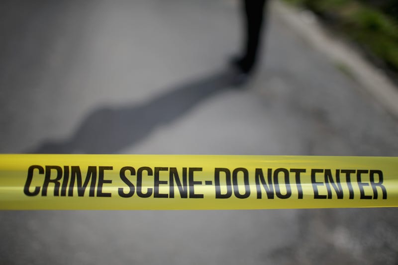 One person is dead after Brooklyn Park police responded to a domestic incident Wednesday night. Officers say someone shot at officers and hit a squad car.