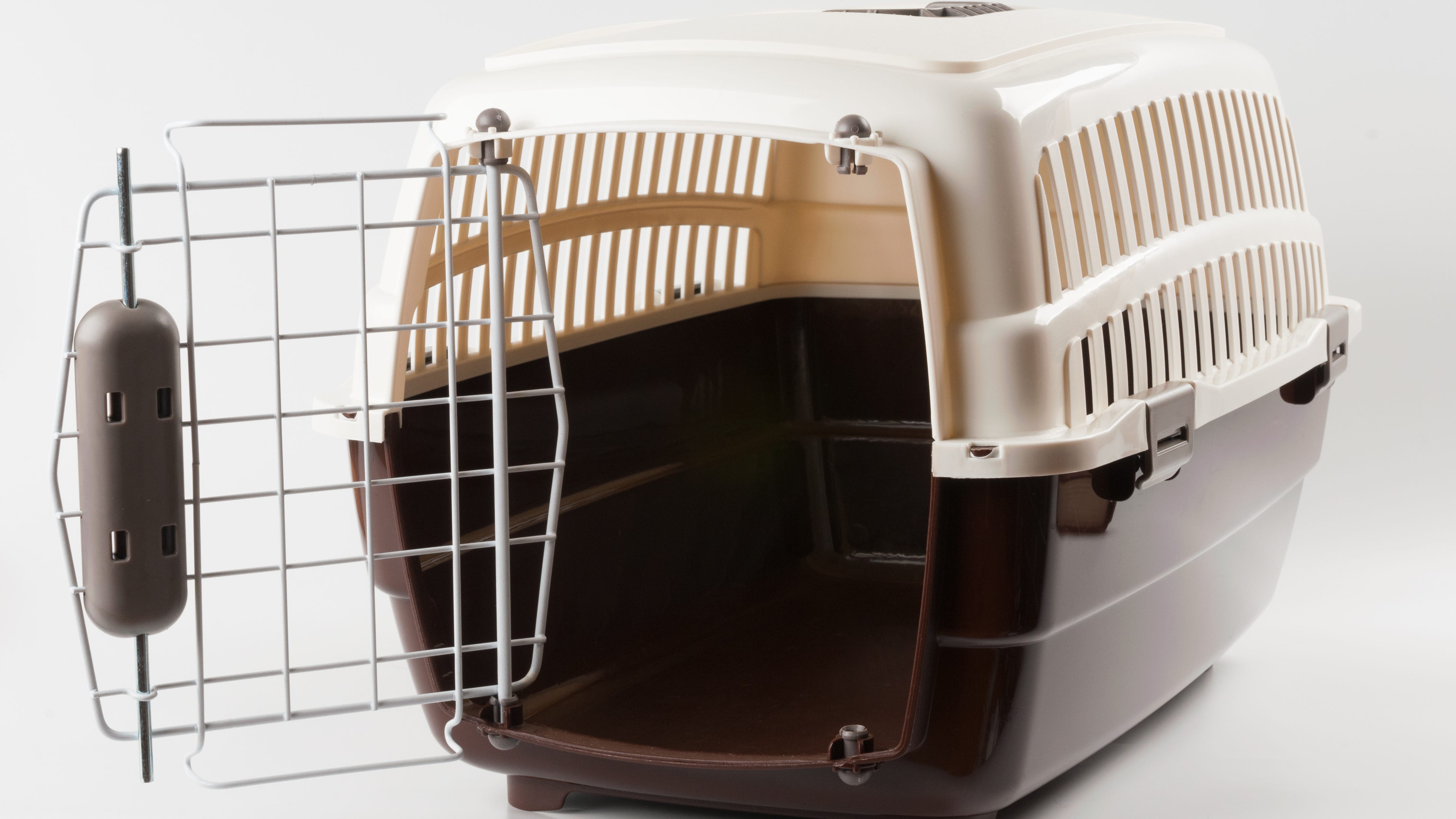 Owner threatens to burn down Peoria after malnourished dogs found on his boat: Police