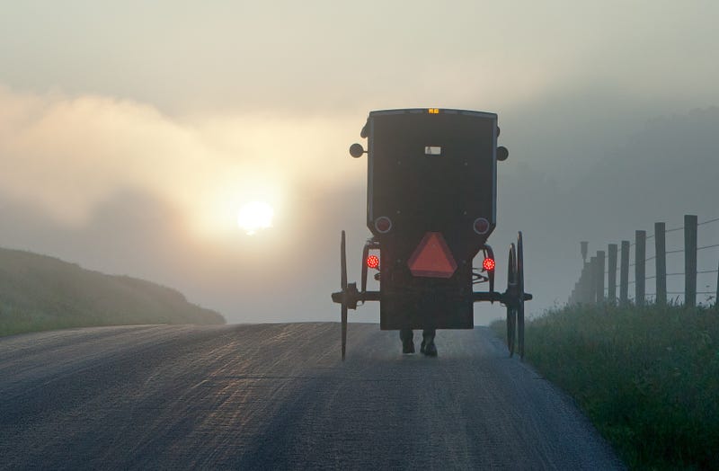 Horse drawn buggy on a country road. 