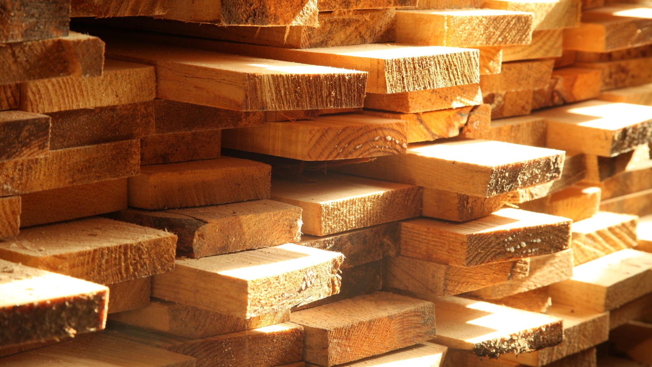 Housing market slowdown makes lumber prices drop