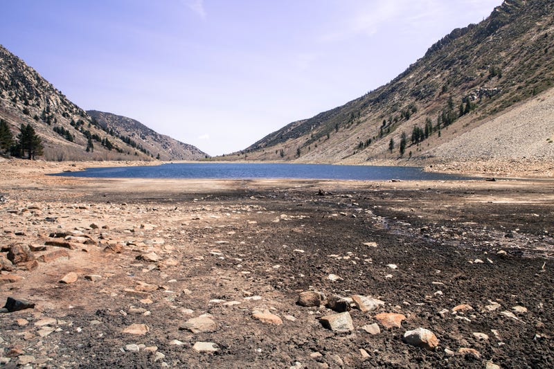 The magnitude of California’s drought is still uncertain, but it’s going to be costly.