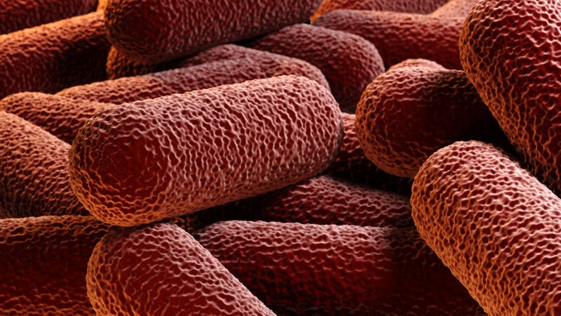 Water testing will take place at an auto plant in Warren after two workers were diagnosed with Legionnaires disease