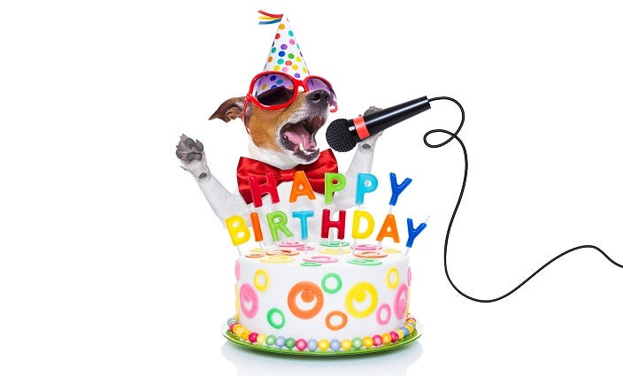Happy Birthday Shelly McIntosh!