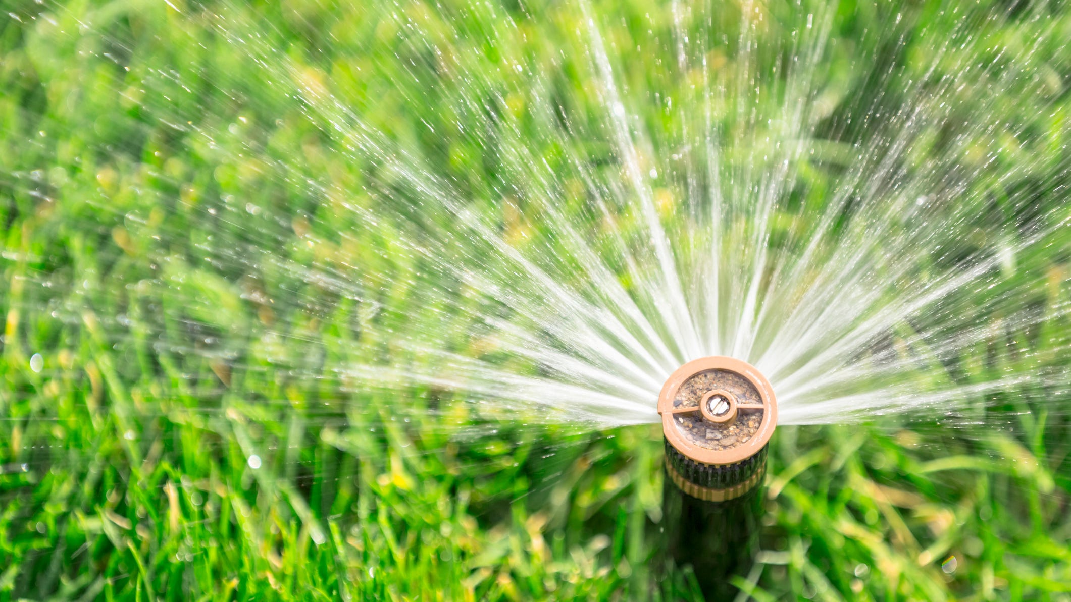 L.A. County residents urged to suspend outdoor watering next month