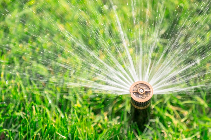 watering lawn