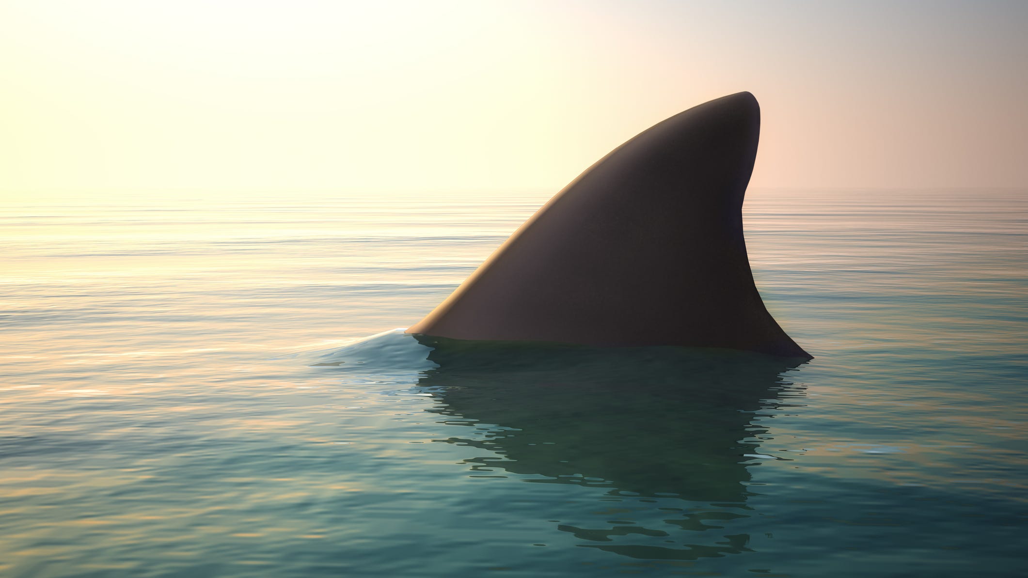 Large shark spotted in crowded shallow water at Florida beach