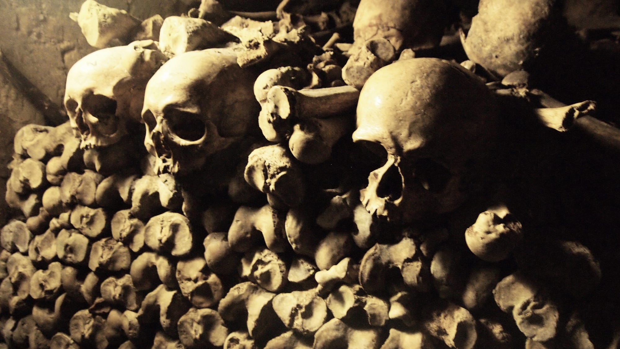 Something Offbeat: Teeth reveal Black Death origins