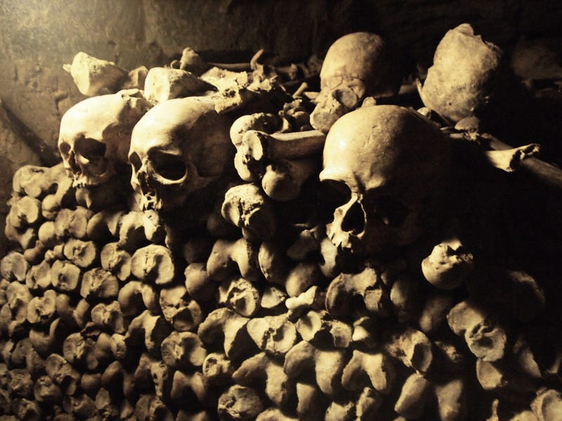 Skulls and other bones in the French catacombs.