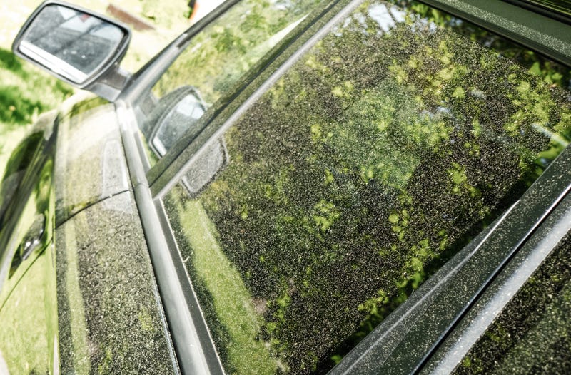 pollen car