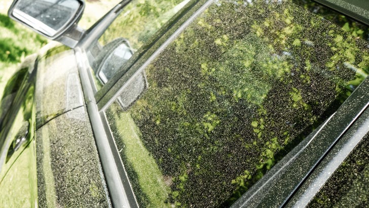 More pollen blowing across North Texas from winds, cold front