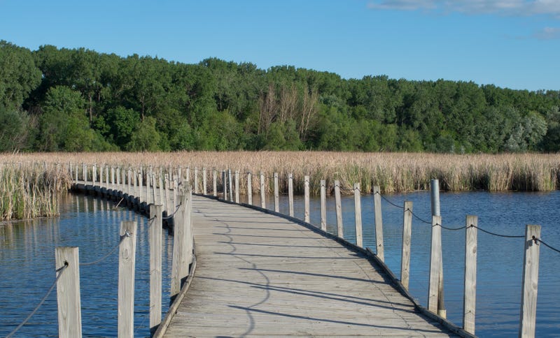 Wood Lake