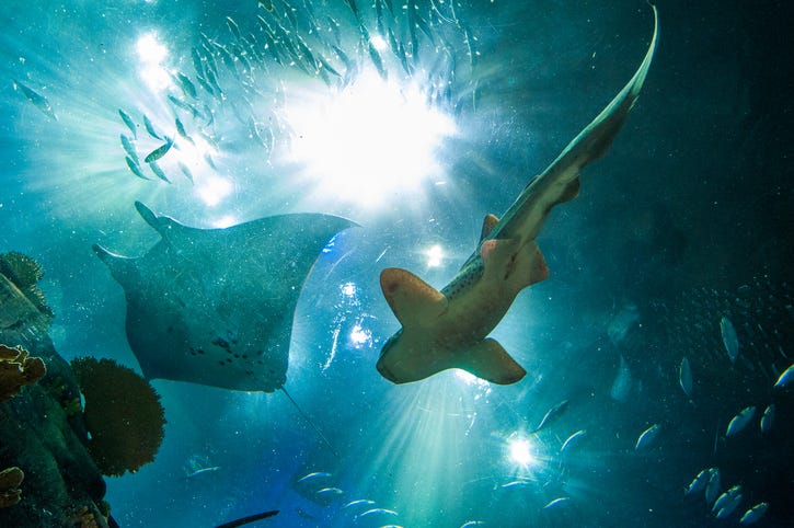 Aquarium