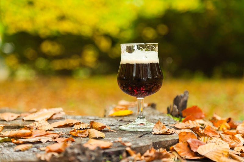 Beer in the forest surrounded by leaves