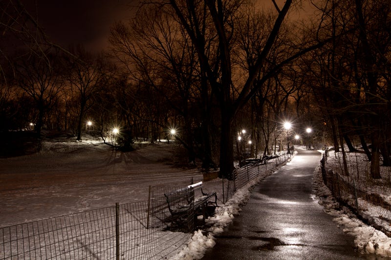 Central Park NYC