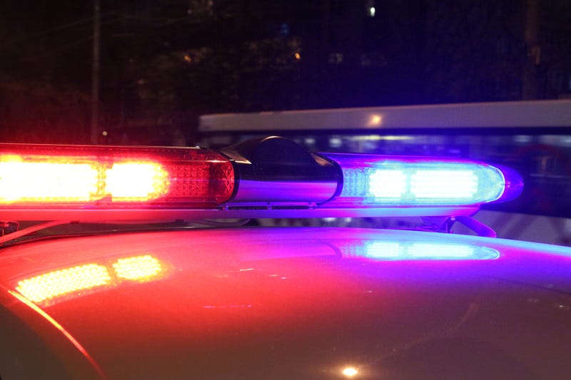 An official autopsy report revealed 26-year-old Patrick Lyoya had a blood alcohol level three times over the legal limit at the time he was fatally shot by a Grand Rapids police officer in early April.