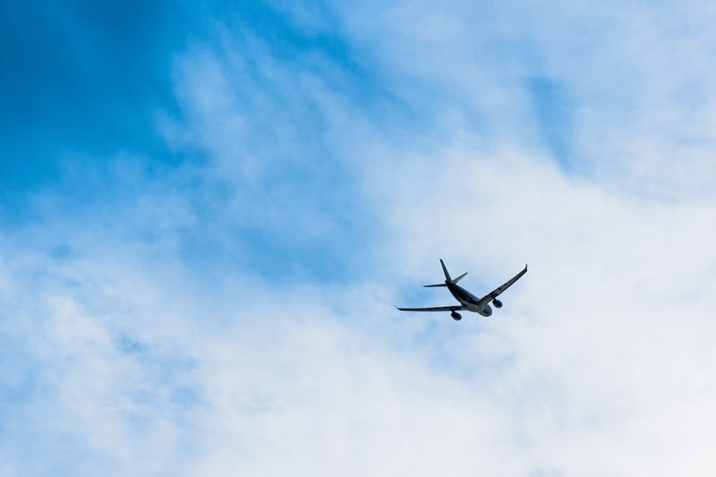 plane in sky