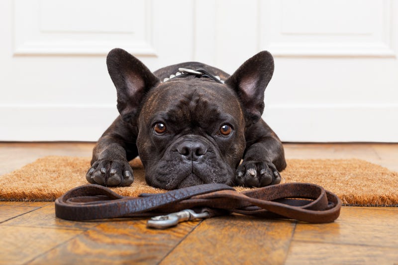 iStock/Getty Images
