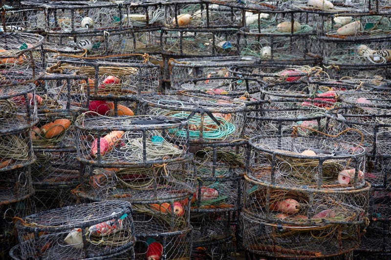 Empty crab fishing gear. 