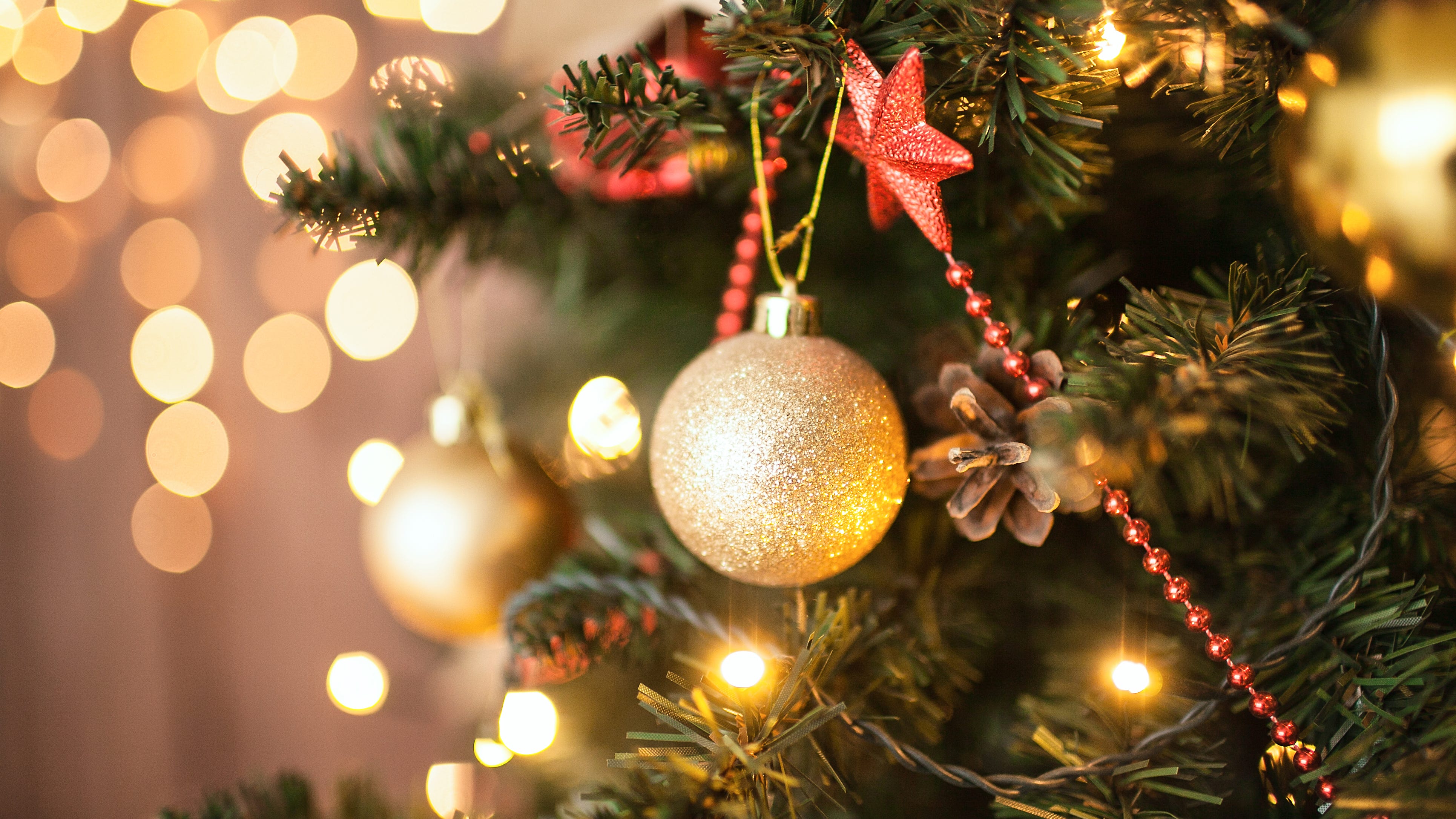 3 helpful tips to keep your Christmas tree fresh and safe