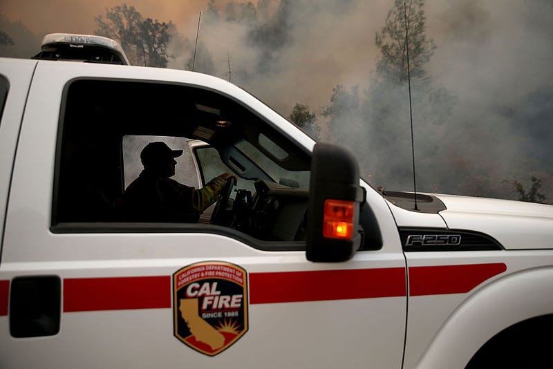 Firefighters with CAL FIRE’s San Mateo-Santa Cruz unit helped reunite a lost dog with her owners on Sunday afternoon.