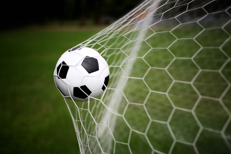 States offer tax breaks, funds for chance to host World Cup