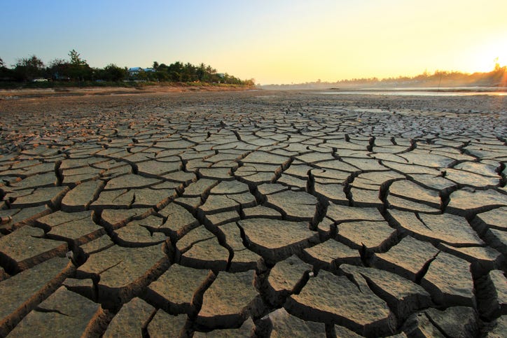 Dry and cracked land. 