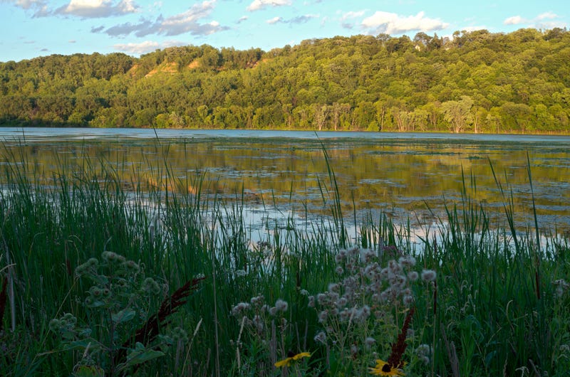 St. Paul leaders are set to co-manage the former Bruce Vento Nature Sanctuary with Indigenous community members. 