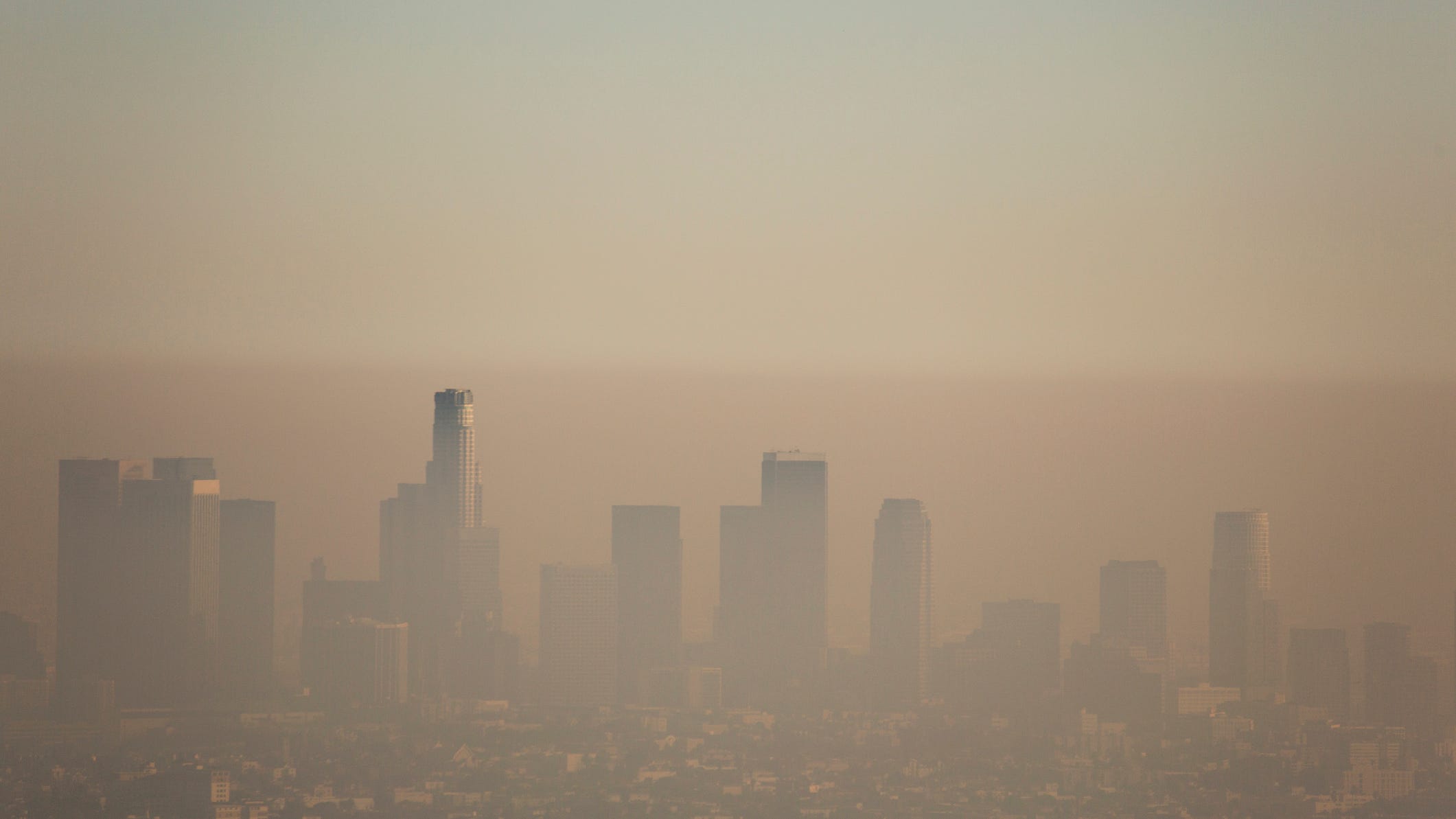 Air pollution might be a factor in causing dementia