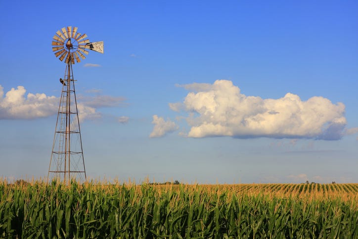 Cornfield in Iowa