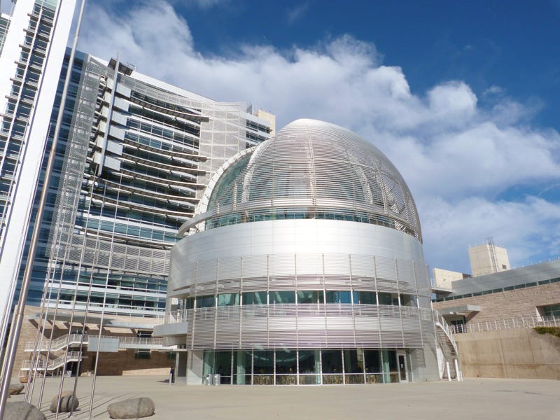 San Jose's Mayor Sam Liccardo announced on Thursday a mandate to limit outdoor watering limit.
