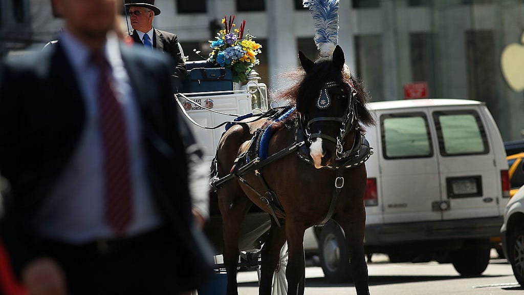Group of NYC city councilors revives effort to ban horse-drawn carriages: 'The time has come'