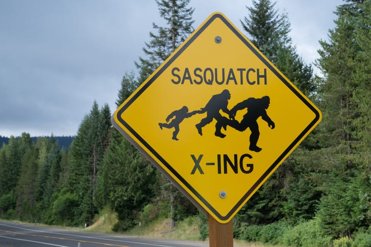 Sasquatch