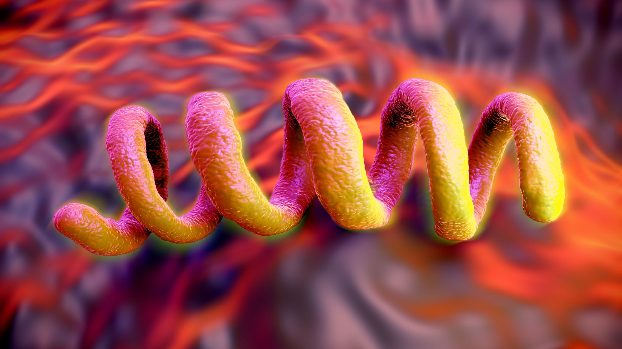 Unexpected COVID side effect: Syphilis spikes among young women in this community
