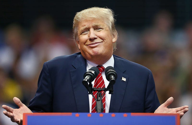 Republican presidential candidate Donald Trump speaks during a campaign rally at the American Airlines Center on September 14, 2015 in Dallas, Texas. More than 20,000 tickets have been distributed for the event. (Photo by Tom Pennington/Getty Images)