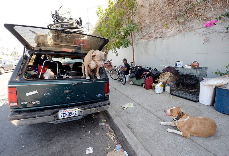 A homeless man for over 30 years who lives inside his car repairs a bicycle as his dog Honey and neighbor's dog Niko stand guard Sept. 23, 2015, in the Hollywood section of Los Angeles, California. Los Angeles County's Blue Ribbon Commission on Homelessness is holding its first meeting Wednesday. 