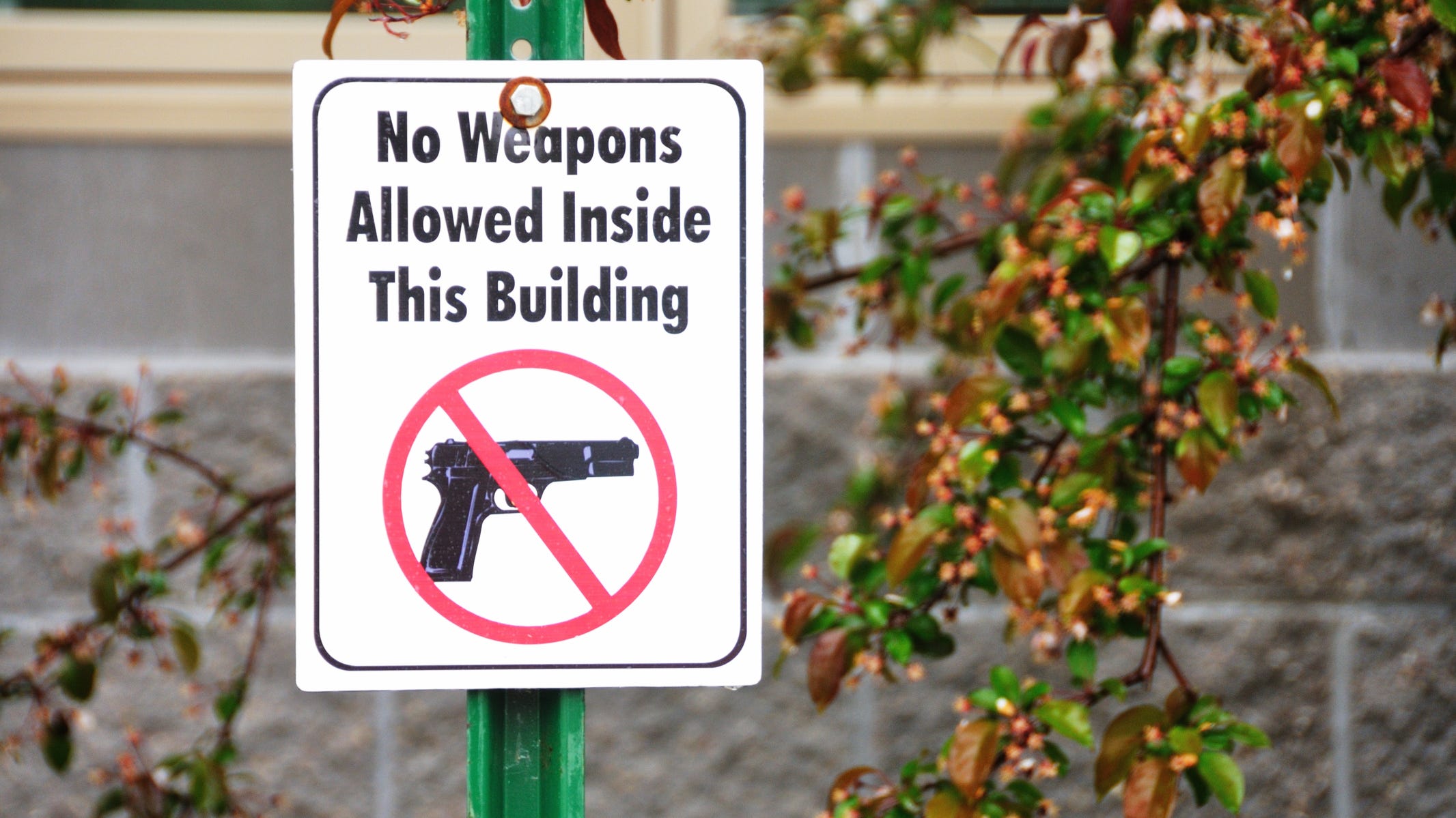 Richardson teen charged after bringing  weapon and realistic-looking toy gun to school