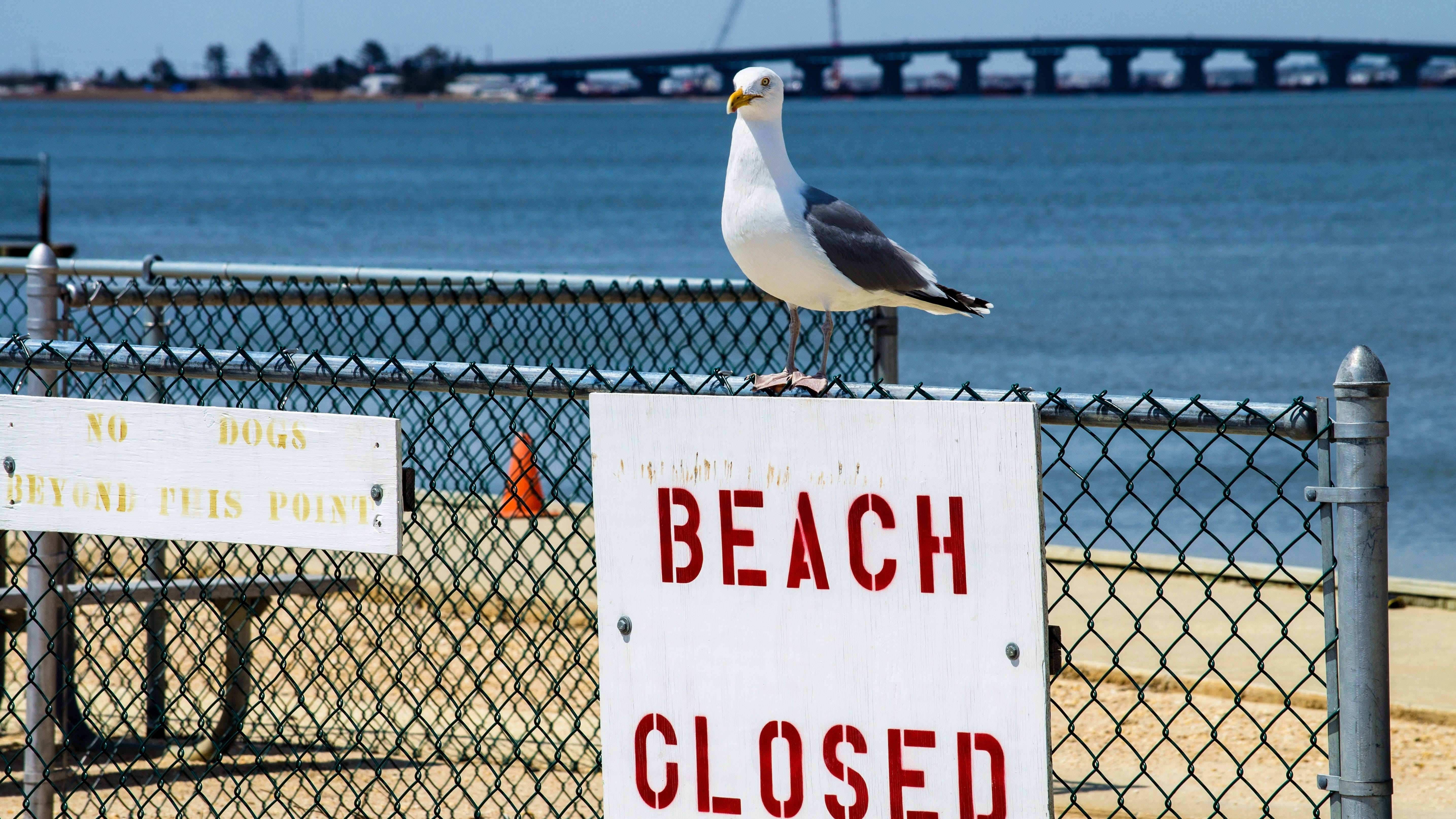 Texas bill could close parts of public beaches