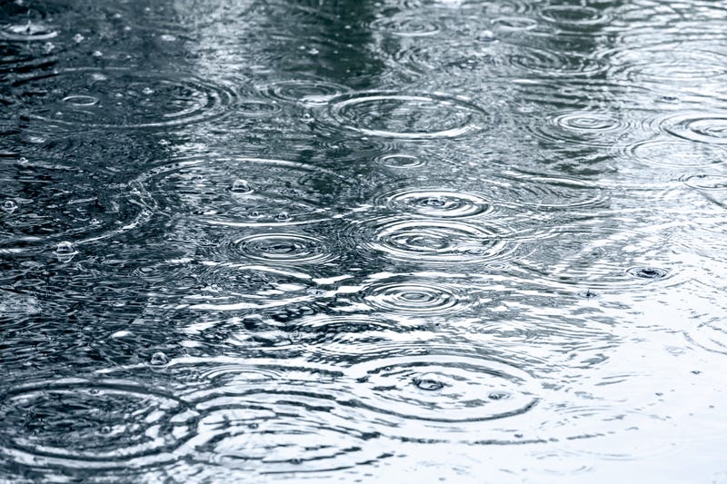 rain drops and ripples in puddles
