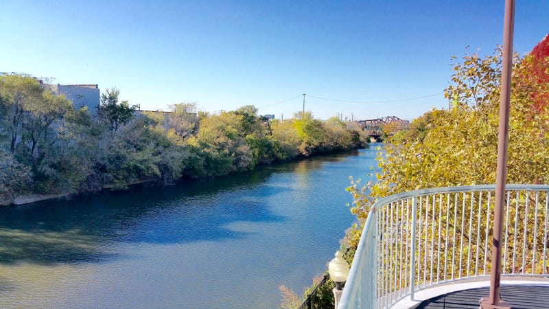 Body of 18-year-old woman pulled from Chicago River near Goose Island