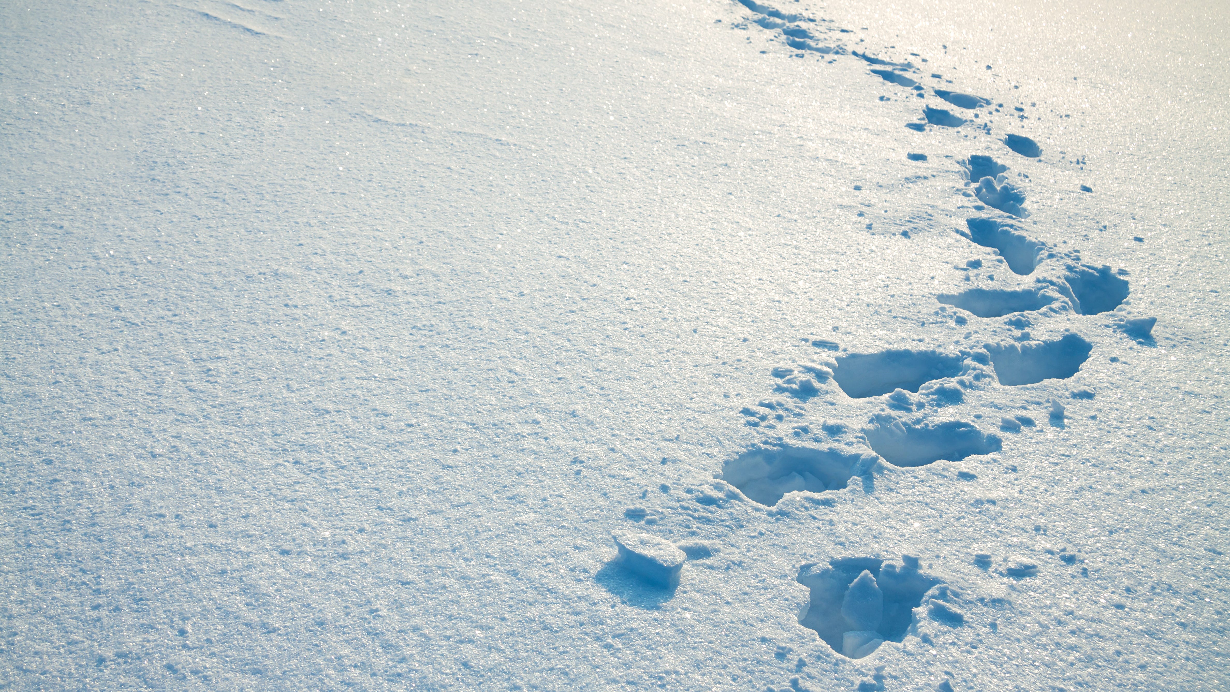 Runaway teen wearing only t-shirt, pajama pants safely found after DNR conservation officers track frozen footprints in U.P.