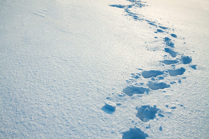 Footprints in the snow led police to a suspected thief