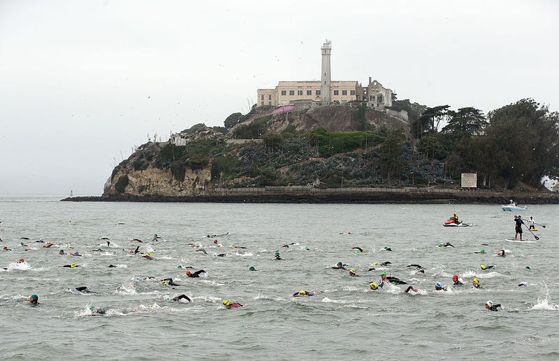 Competitors swim past Alcatraz at the start of the 2014 Escape from Alcatraz Triathlon on June 1, 2014 in San Francisco, California. (Photo by Ezra Shaw/Getty Images)