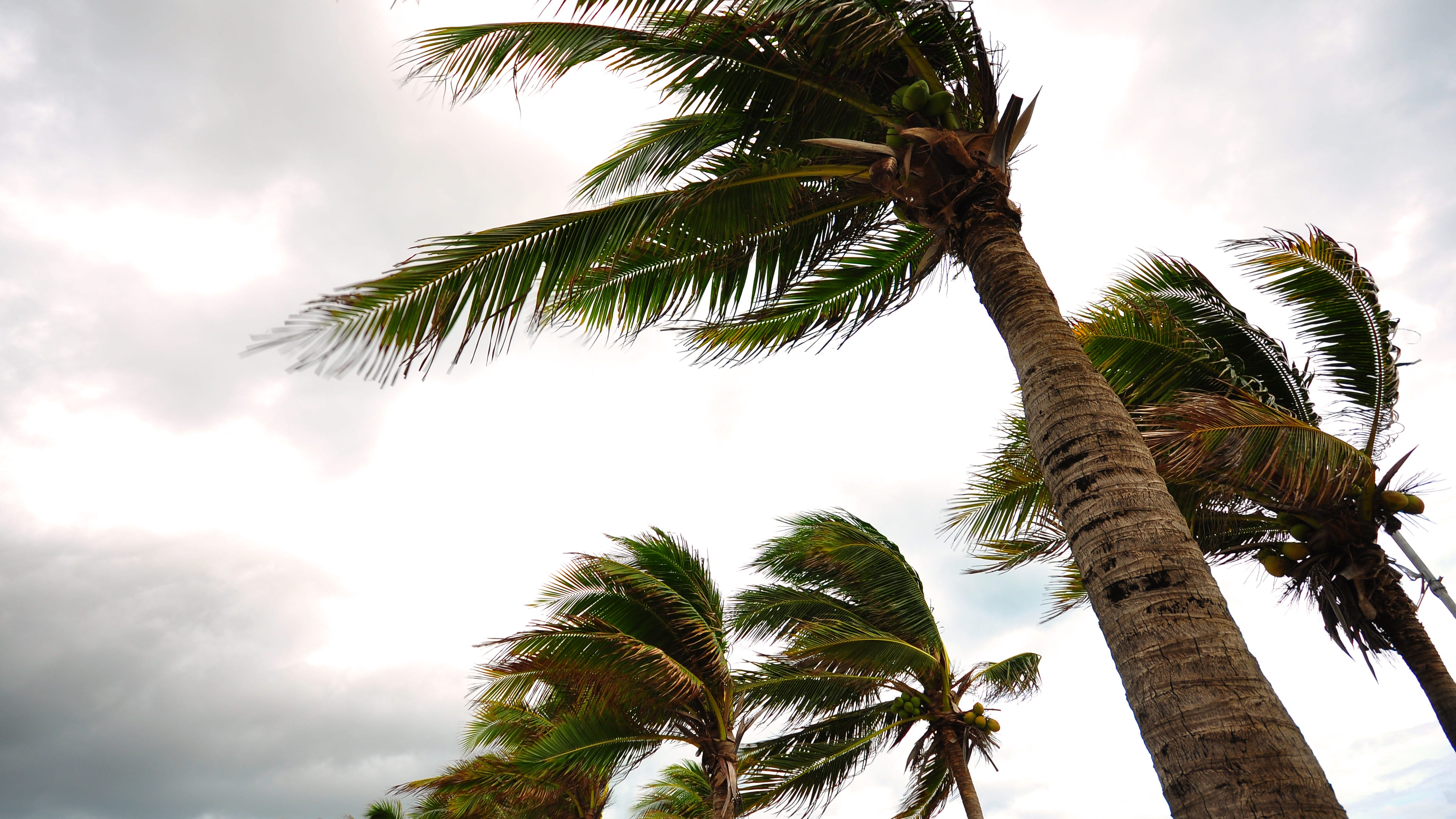 Cooler weather, windy conditions on tap across Southland