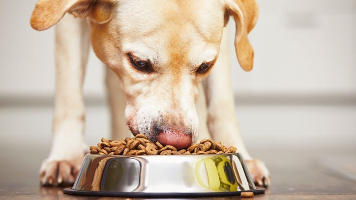 Dry dog and cat food recalled after 28 dogs die
